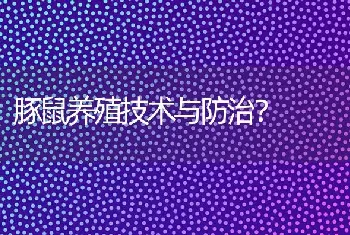 豚鼠养殖技术与防治？