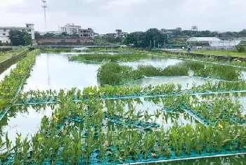 池塘养殖改底的重要性