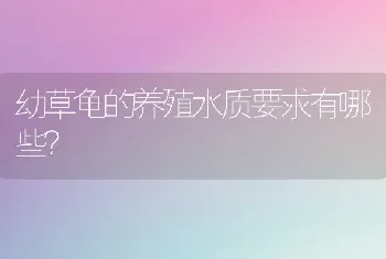 不同品种之间的鹦鹉能相互杂交吗？