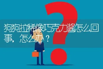 狗狗拉稀像巧克力酱怎么回事，怎么办？