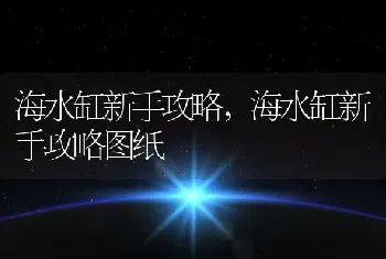 海水缸新手攻略，海水缸新手攻略图纸