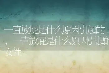 一直放屁是什么原因引起的，一直放屁是什么原因引起的女性