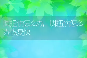 脚扭伤怎么办，脚扭伤怎么办恢复快