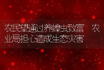 农民望通过养蝗虫致富 农业局担心造成生态灾害