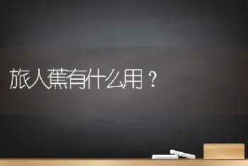 旅人蕉有什么用？