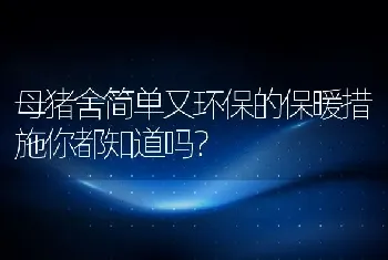 母猪舍简单又环保的保暖措施你都知道吗？