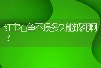 红宝石鱼不喂多久能饿死啊？