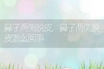 鼻子两侧脱皮，鼻子两侧脱皮怎么回事