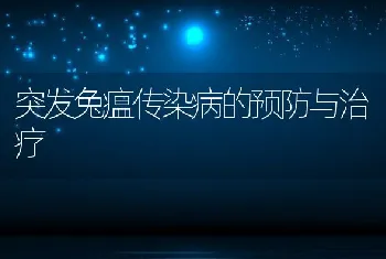 突发兔瘟传染病的预防与治疗