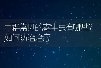 牛群常见的寄生虫有哪些？如何防治治疗