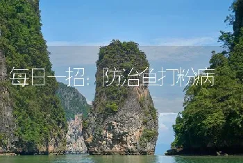 每日一招：防治鱼打粉病