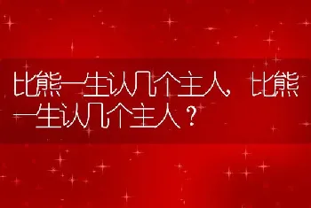 比熊一生认几个主人，比熊一生认几个主人？