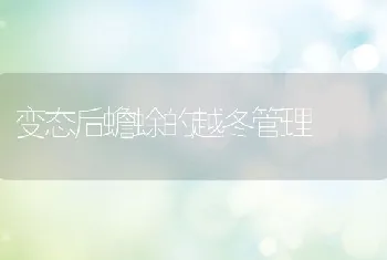 变态后蟾蜍的越冬管理