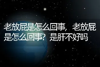 老放屁是怎么回事，老放屁是怎么回事？是肝不好吗