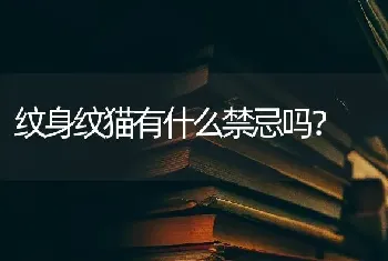 纹身纹猫有什么禁忌吗？