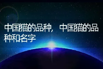 中国猫的品种，中国猫的品种和名字