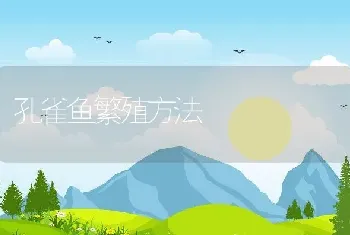 孔雀鱼繁殖方法