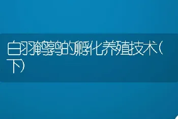 当前人工养蛇技术要点