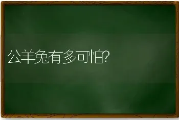 猫怕人的表现？