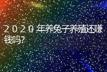 2020年养兔子养殖还赚钱吗？