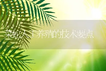 菜蛇人工养殖的技术要点