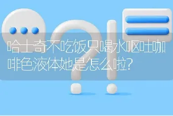 哈士奇不吃饭只喝水呕吐咖啡色液体她是怎么啦？