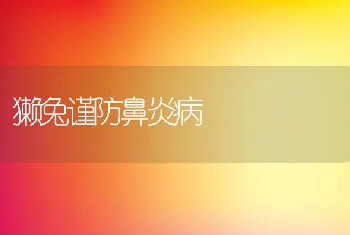 獭兔谨防鼻炎病