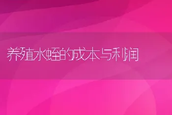 养殖水蛭的成本与利润