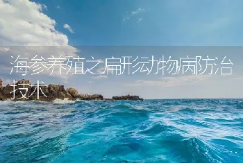 海参养殖之扁形动物病防治技术