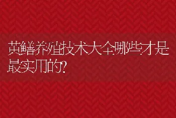 黄鳝养殖技术大全哪些才是最实用的？