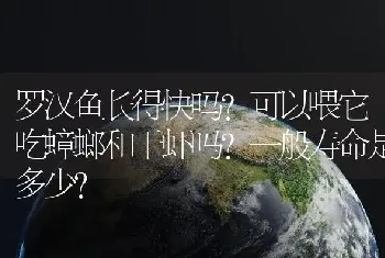 罗汉鱼长得快吗？可以喂它吃蟑螂和干虾吗？一般寿命是多少？