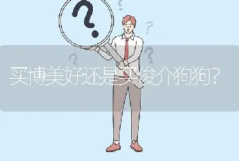 买博美好还是买俊介狗狗？