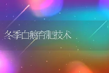 野兔热的鉴别诊断