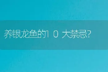 养银龙鱼的10大禁忌？