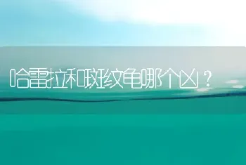 哈雷拉和斑纹龟哪个凶？