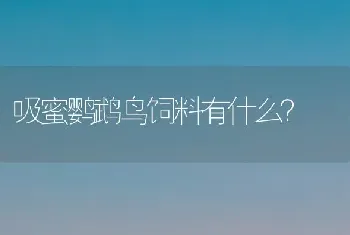 十姐妹（白腰文鸟）、白文鸟、珍珠鸟哪种最容易繁殖？