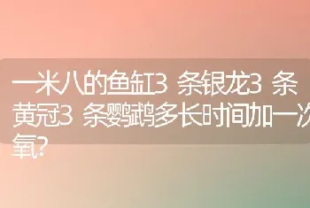 一米八的鱼缸3条银龙3条黄冠3条鹦鹉多长时间加一次氧？