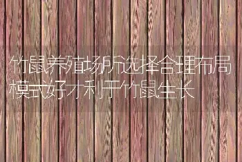 竹鼠养殖场所选择合理布局模式好才利于竹鼠生长