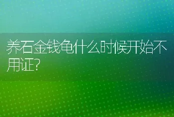 獭兔毛和貂毛的区别？