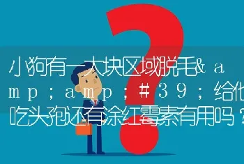 小狗有一大块区域脱毛给他吃头孢还有涂红霉素有用吗？