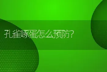 孔雀啄蛋怎么预防？