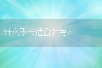 什么季节适合养兔？