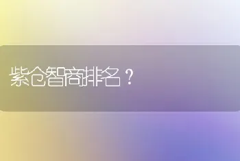 紫仓智商排名？