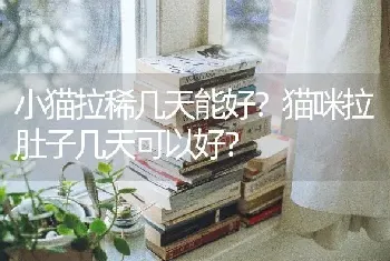 茶杯犬是吉娃娃的一种吗？