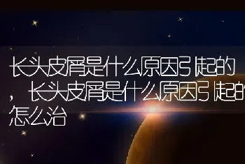 长头皮屑是什么原因引起的，长头皮屑是什么原因引起的怎么治