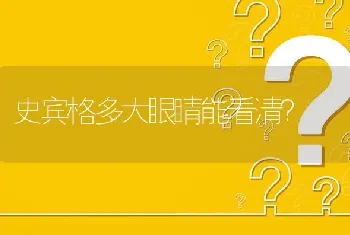 史宾格多大眼睛能看清？