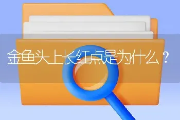 金鱼头上长红点是为什么？