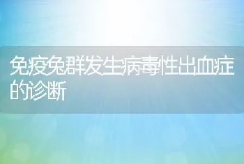 免疫兔群发生病毒性出血症的诊断