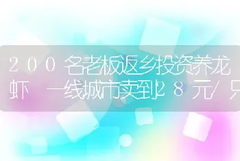 200名老板返乡投资养龙虾 一线城市卖到28元/只