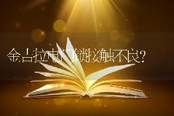 边牧劲子一边黑一边白。纯吗，你们觉得值什么价位？